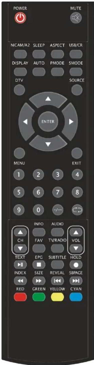 Ricatech RLEDTV24 - Remote control - 2