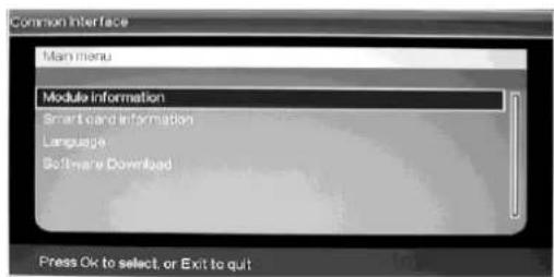 Ricatech RLEDTV24 - CI Operation (Optional) - 2