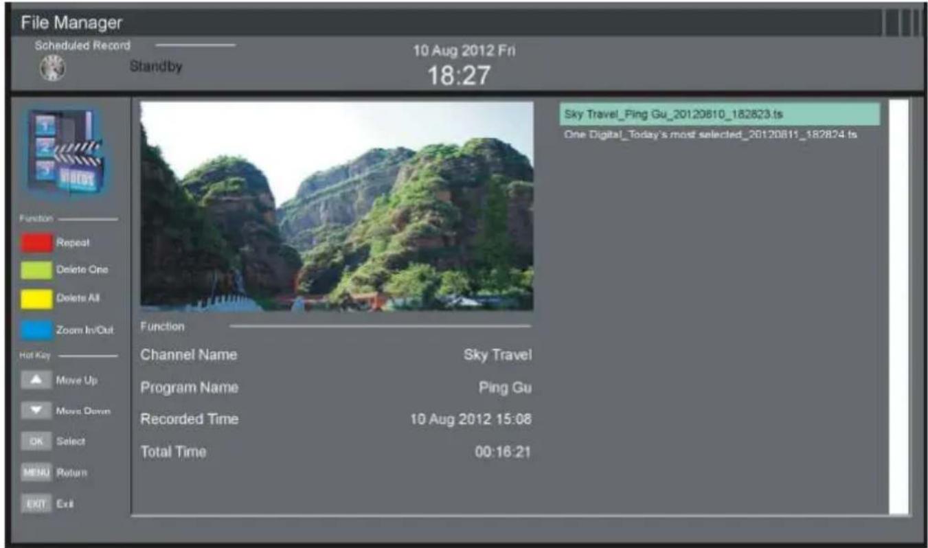 TOKAI TTE24K2014K - File Manager - 1