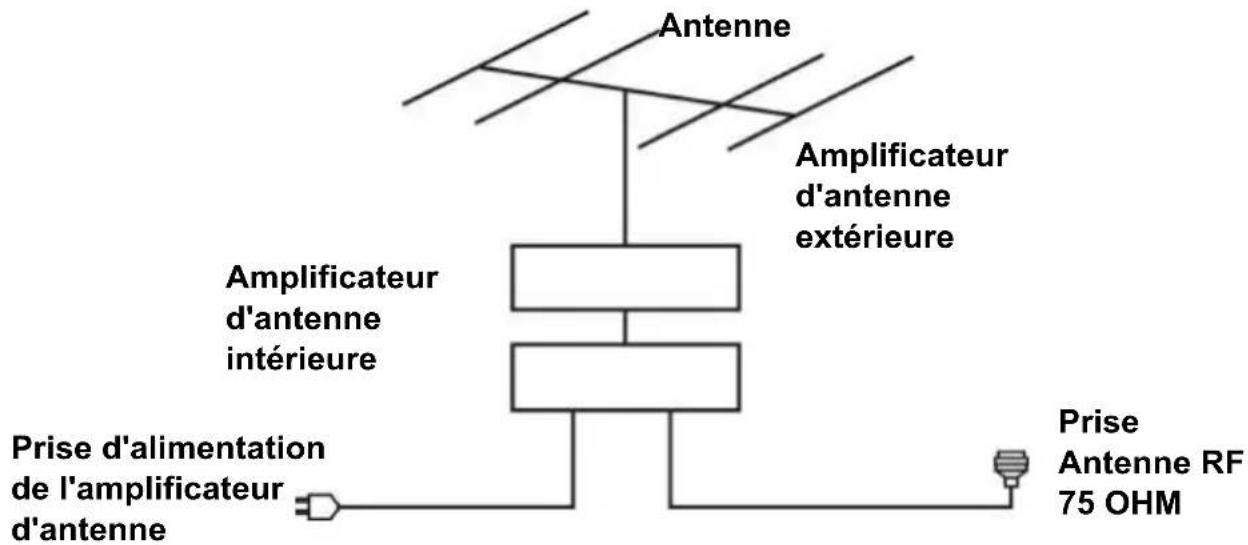 TOKAI TTE32D1904K - Branchement de l'antenne - 1