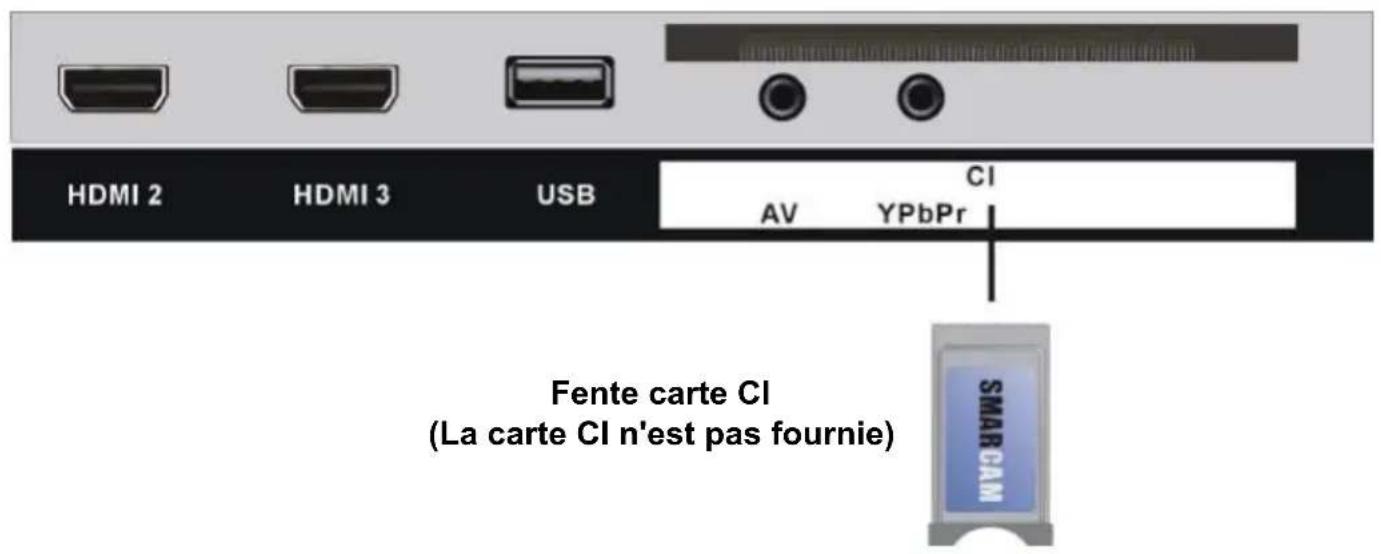 TOKAI TTE32D1904K - Connexion PORT USB compatible - 2