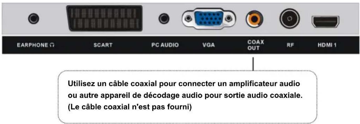 TOKAI TTE32D1904K - Branchement de l'antenne - 3