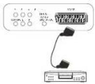 Terris LED TV 2242 - SCART-Anschluss - 1