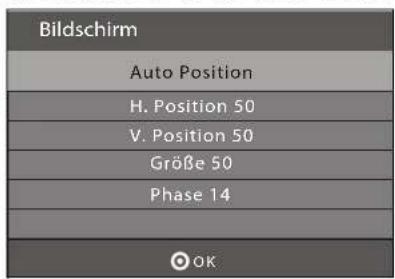 Terris LED TV 1904 - PC BILDEINSTELLUNGEN - 1