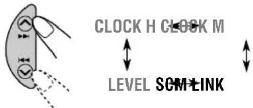 CLOCK H CLOCK M LEVEL SCM LINK