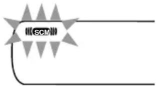 SCM
