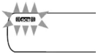 SCM