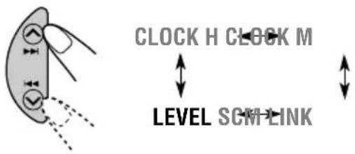 CLOCK H CLOCK M LEVEL SCM LINK