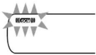 SCM