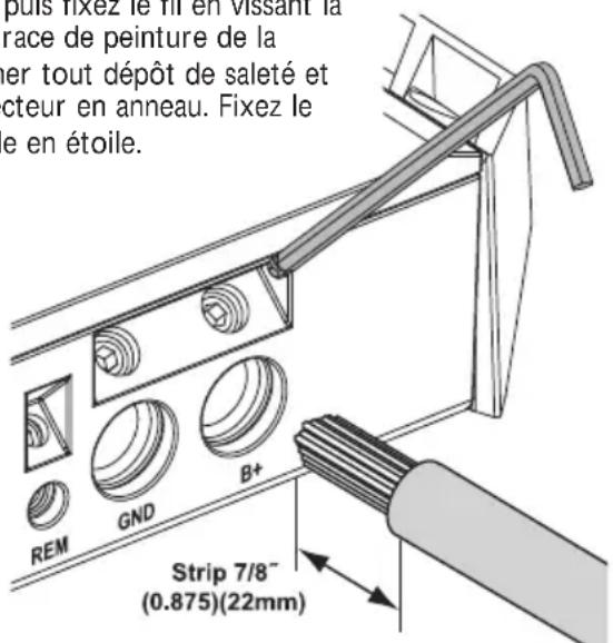 puis fixez le fil en vissant la race de peinture de la er tout dépôt de saleté et cteur en anneau. Fixez le e en étoile. REM GND B+ Strip 7/8" (0.875)(22mm)