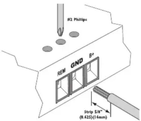 Rockford Fosgate Power T1001bd CP - WIRING THE SYSTEM - 4
