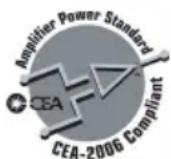 Rockford Fosgate Power T1001bd CP - MODELL- POWER T500-1bd CP T1000-1bd CP T1500-1bd CP - 1