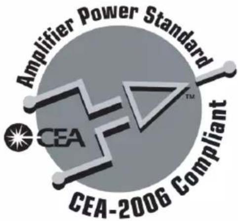 Rockford Fosgate Punch P10002 - RFTECH - 1