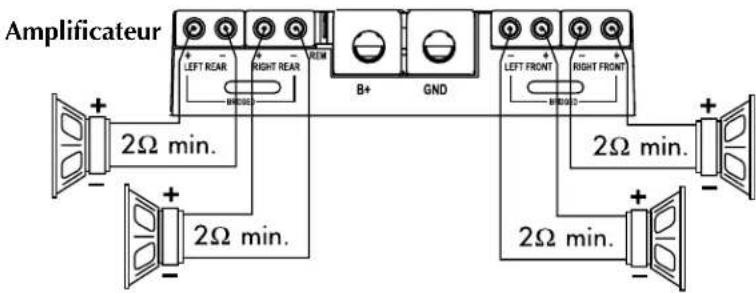Rockford Fosgate Power 551X - Cablage à 3 voies - 2