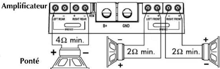 Rockford Fosgate Power 551X - Cablage à 3 voies - 1