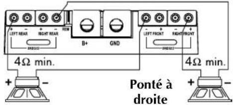 Rockford Fosgate Power 551X - CÁBLAGE DU SYSTÉME - 8