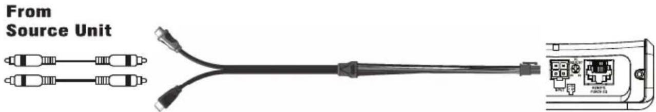 Rockford Fosgate PBR300X1 - MISE EN GARDE - 3