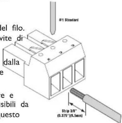 Rockford Fosgate PBR300X1 - CABLAGGIO DEL SISTEMA - 4