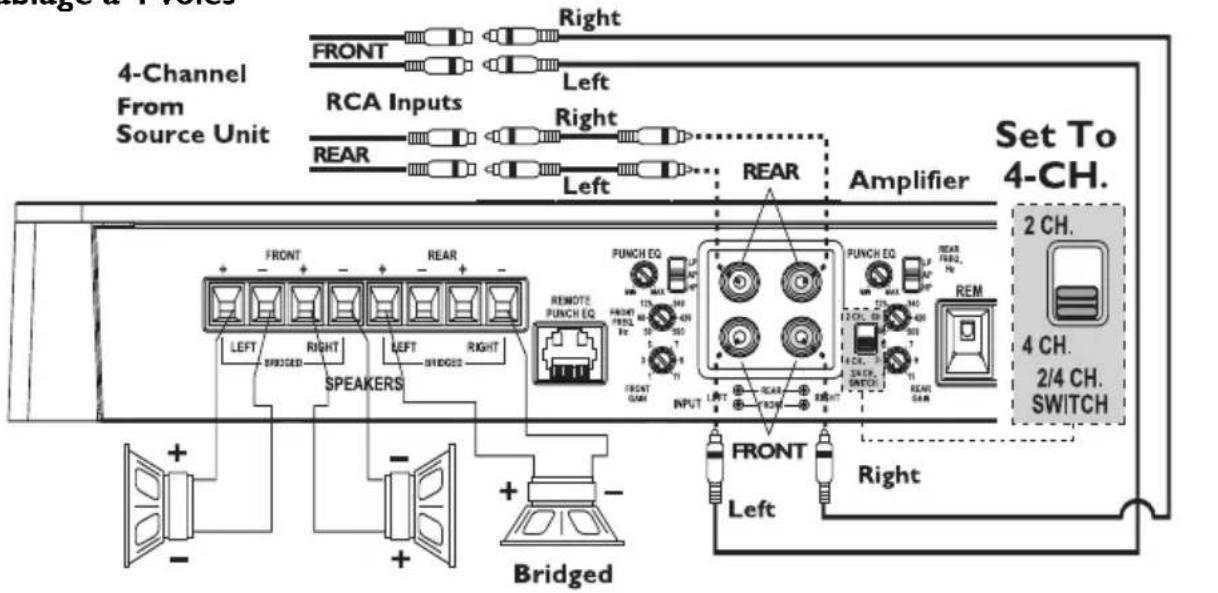 Rockford Fosgate Punch P3001 - CÁBLAGE DU SYSTÉME - 11