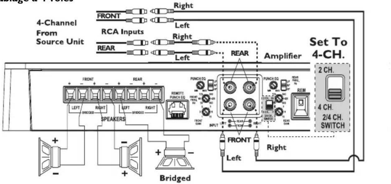 Rockford Fosgate P10001bd - CÁBLAGE DU SYSTÉME - 11