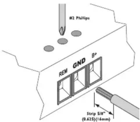 Rockford Fosgate P10001bd - CÁBLAGE DU SYSTÉME - 4