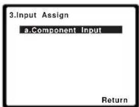 3.Input Assign a.Component Input Return