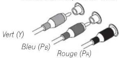 Vert (Y) Bleu (P_B) Rouge (P_R)