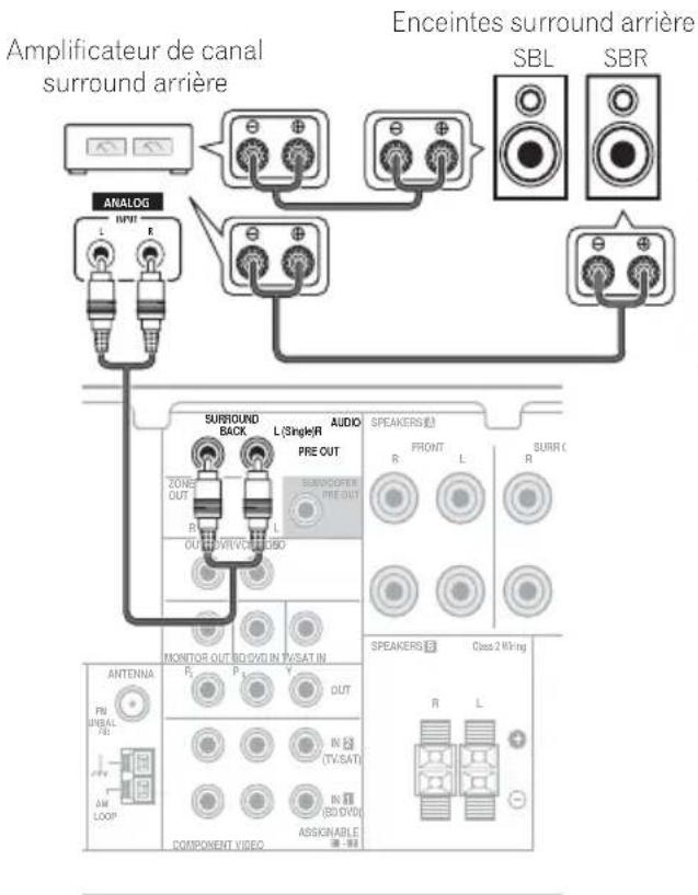 Amplificateur de canal surround arrière Enceintes surround arrière SBL SBR ANALOG L NPN R SURROUND BACK L(Single)R AUDIO PRE OUT SUBSOOPER PRE OUT R L OUT DRYV/1050 MONITOR OUT BO DVD IN P/SAT IN ANTENNA R P Y OUT PR MIBAL /A AM LOOP COMPONENT VIDEO IN (TV:SAT) IN (BO DVD) ASSIGNABLE - 98 SPEAKERS(R) FRONT L SURR ( R SPEAKERS(R) Class 2 Wiring R L