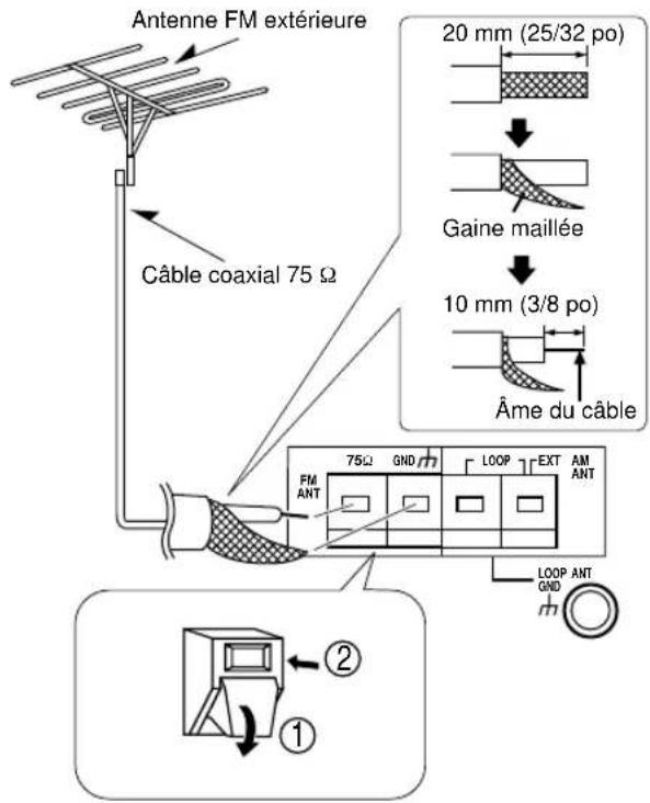 Antenne FM extérieure Câble coaxial 75 Ω 20 mm (25/32 po) Gaine maillée 10 mm (3/8 po) Âme du câble FM ANT 75Ω GND LOOP EXT AM ANT LOOP ANT GND ② ①