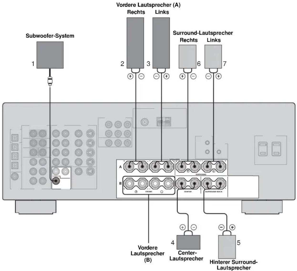 Subwoofer-System 1 Vordere Lautsprecher (A) Rechts Links 2 3 + - + - + Surround-Lautsprecher Rechts Links 6 7 SPEAKERS A B FRONT CENTER SURROUND SURROUND BACK Vordere Lautsprecher (B) 4 Center- Lautsprecher 5 Hinterer Surround- Lautsprecher