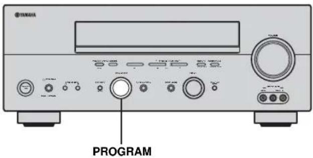 YANAMA PROGRAM