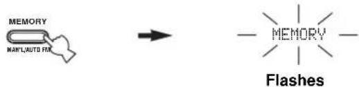 MEMORY MAN/LAUTO FIN → - MEMORY - Flashes