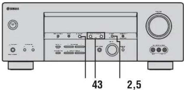 YAMSA 43 2,5