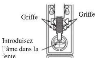 Griffe Introduisez l'âme dans la fente Griffe