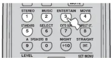 MOTEL STEREO MUSIC ENTERTAIN MOVIE 1 2 3 4 STANDARD SELECT EXT SUR. DIRECT ST. 5 6 7 8 A SPEAKERS B NIGHT STRAIGHT 9 0 +10 EXT. LEVEL SET MENU