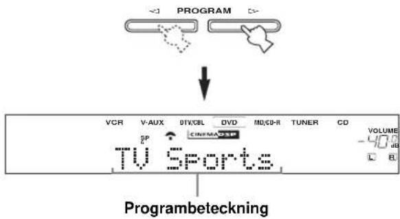 PROGRAM VCR V-AUX OTV/CBL DVD MD/CD-R TUNER CD SP TV Sports VOLUME -40.00 L B Programbeteckning