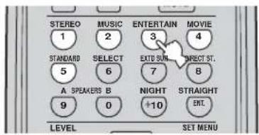 STEREO 1 STANDARD 5 A SPEAKERS B 9 MUSIC 2 SELECT 6 0 ENTERTAIN 3 EXIT SUN 7 NIGHT +10 MOVIE 4 EFFECT ST. 8 STRAIGHT ENT. LEVEL SET MENU