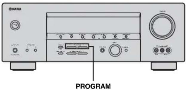 YANUA PROGRAM