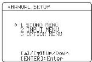 YAMAHA HTR6140 - Drucken Sie ⑦ENTER, um auf „MANUAL SETUP" zu schalten. - 1