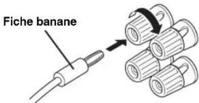 YAMAHA HTR6140 - Raccordement de la fiche banane (sauf modèles pour l'Europe, la Russie, l'Asie et la Corée) - 1