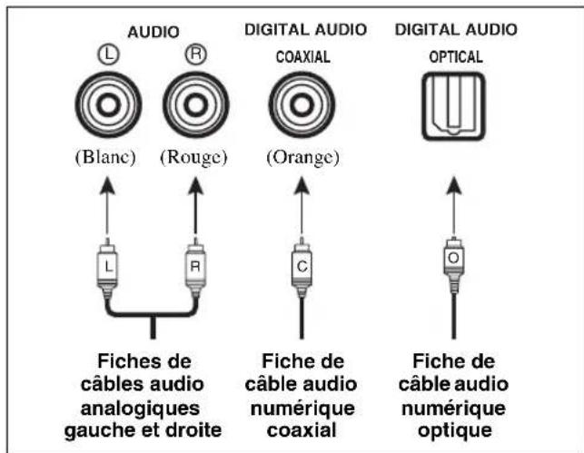 YAMAHA HTR6140 - Prises audio et fiches des cables Prises video et fiches des cables - 1
