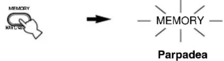 MEMORY MAX U/401 → — MEMORY — Parpadea