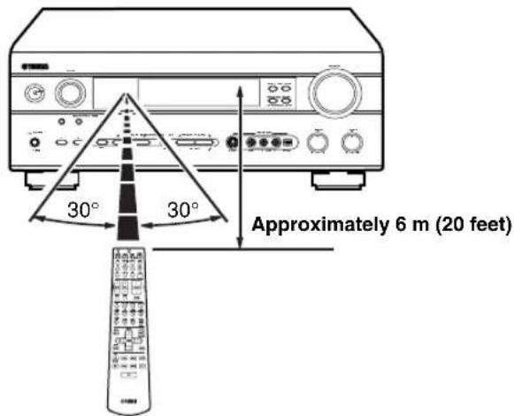 Approximately 6 m (20 feet)