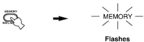 MEMORY KALUAR → — MEMORY — Flashes