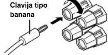 Clavija tipo banana