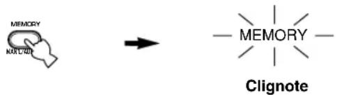 MEMORY NATUATE → — MEMORY — Clignote