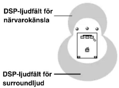 DSP-ljudfält för närvarokänsla DSP-ljudfält för surroundljud