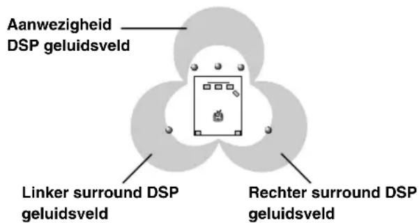 Aanwezigheid DSP geluidsveld Linker surround DSP geluidsveld Rechter surround DSP geluidsveld