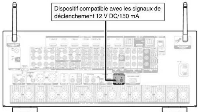 MARANTZ AV8802 - Prises DC OUT - 1