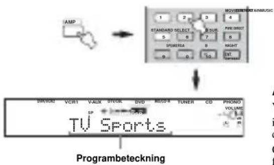 YAMAHA RXV757 - Uppspelning av flerkanalig programvara - 2